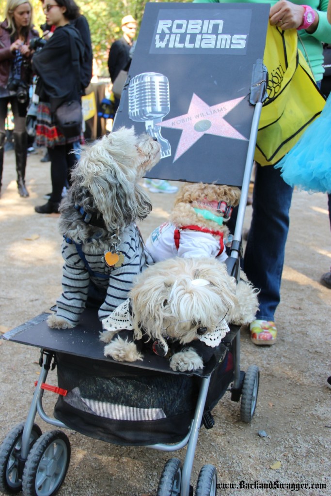 The 2014 Tompkins Square Park Dog Halloween Parade on www.BarkandSwagger.com