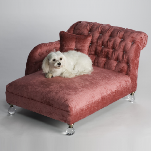 Pantone Marsala colored curated dog items on www.BarkandSwagger.com