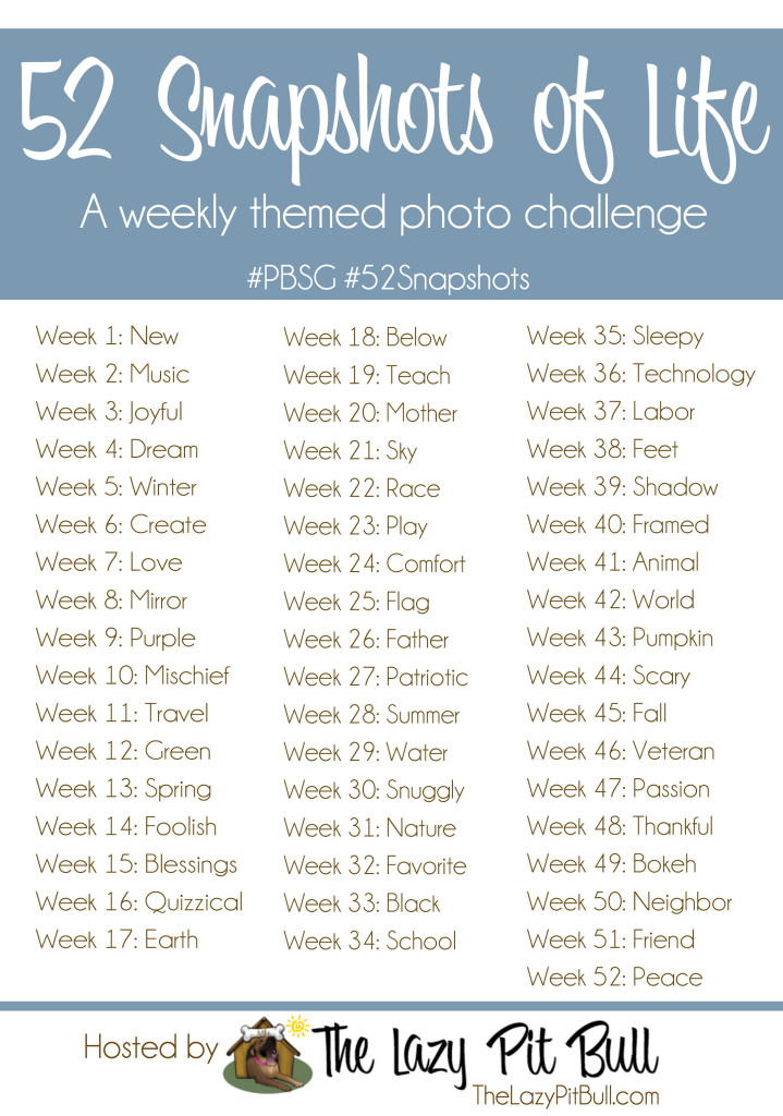 52 snapshots of life calendar on www.BarkandSwagger.com