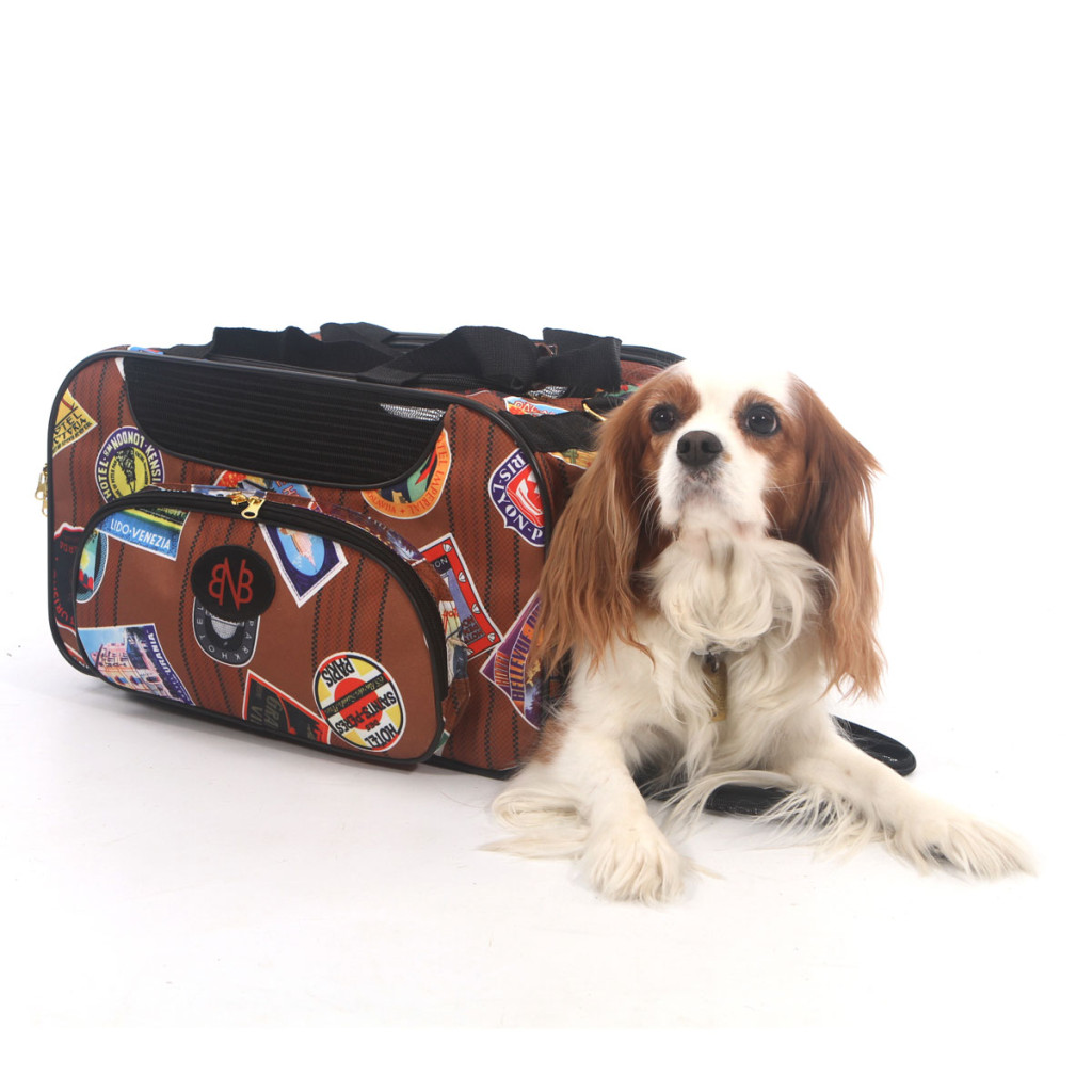 The perfect Man Bag travel bags for dogs
