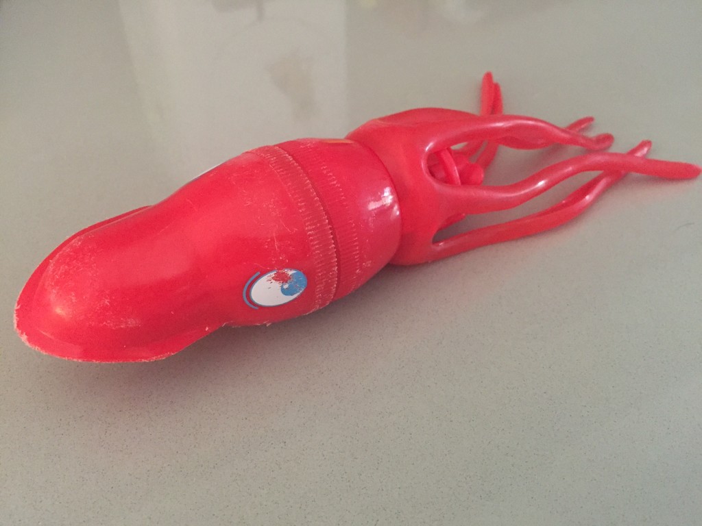 Want the perfect pool toy for your dog? The Squiddy tub pool toy is it!