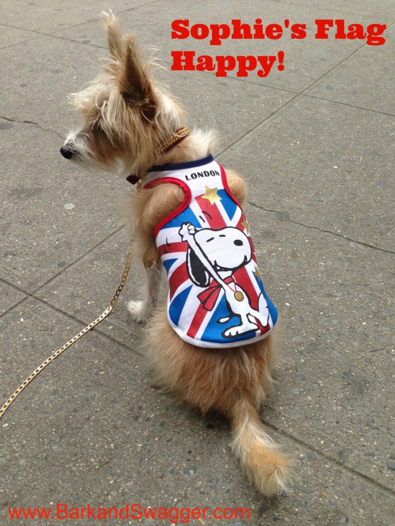 52 snapshots of life photo challenge theme is Flag! Sophie in her London flag tank
