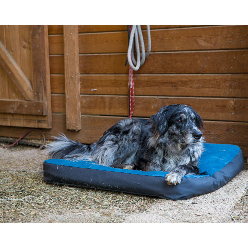 The best dog bed for large dogs and adventurers 