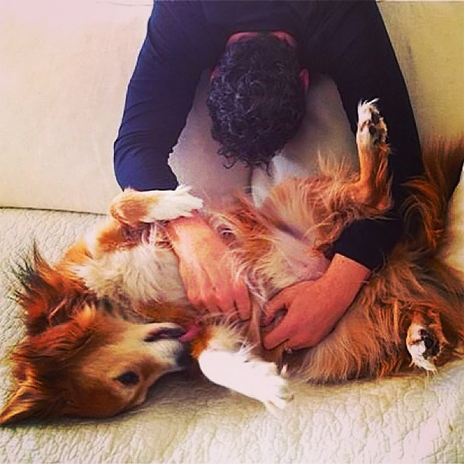 The Irrepressible Isaac Mizrahi & His Dog Love Story - Bark and