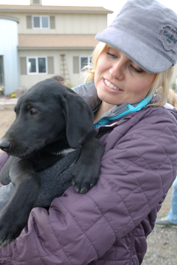 Animal House TV can help animal shelters save lives. Find out how.