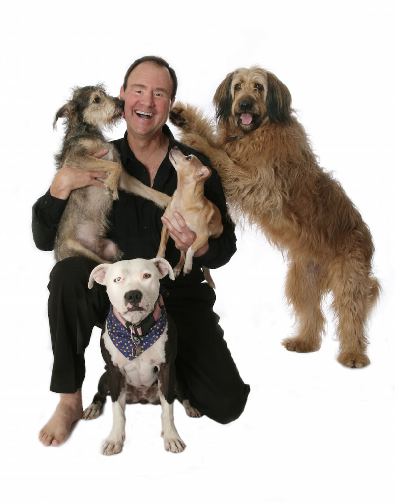 Wonderful shelter dog stories on Larry Kay's new YouTube Channel, Positively Woof.