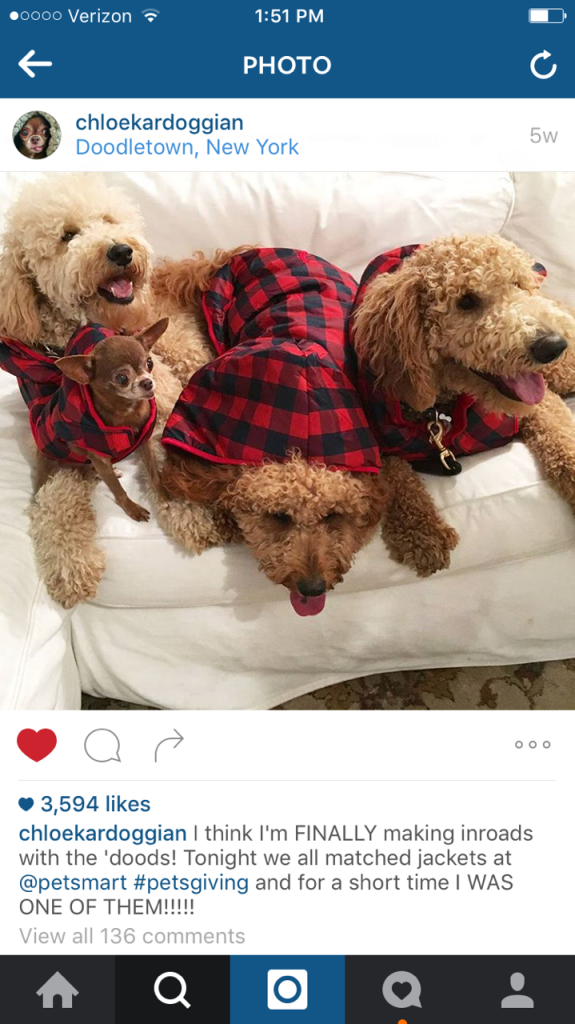 A giving gift from Instagram reality star Chloe Kardoggian. Find out what!