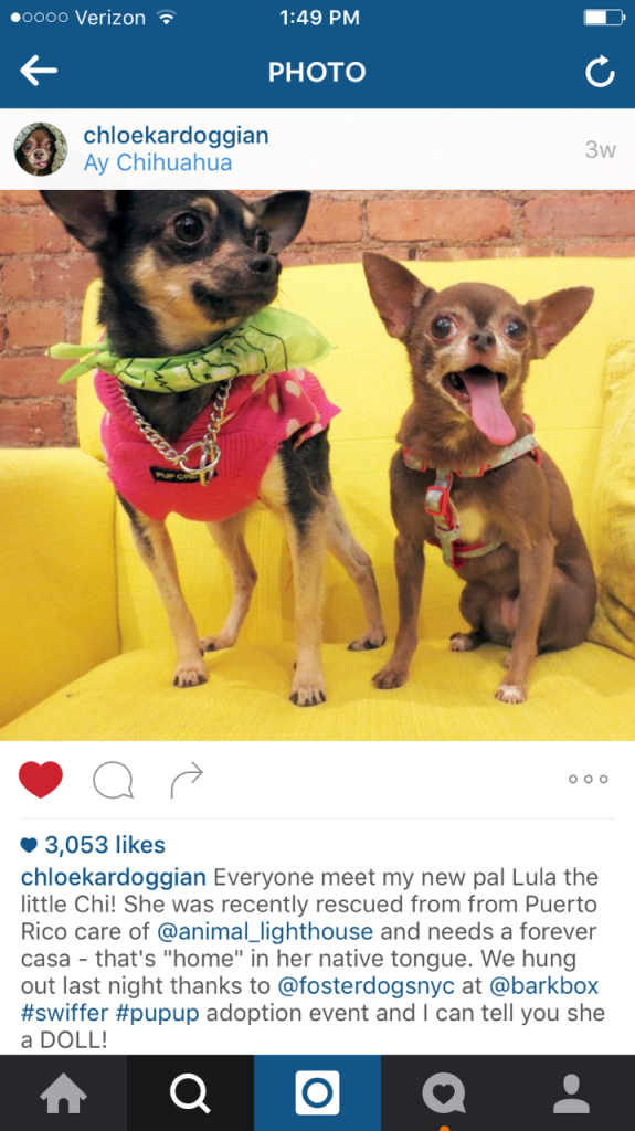 A giving gift from Instagram reality star Chloe Kardoggian. Find out what!