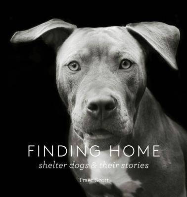 Change a pets life day giveaway of gorgeous book of shelter dogs stories and photographs by Traer Scott. A treasure for life. 