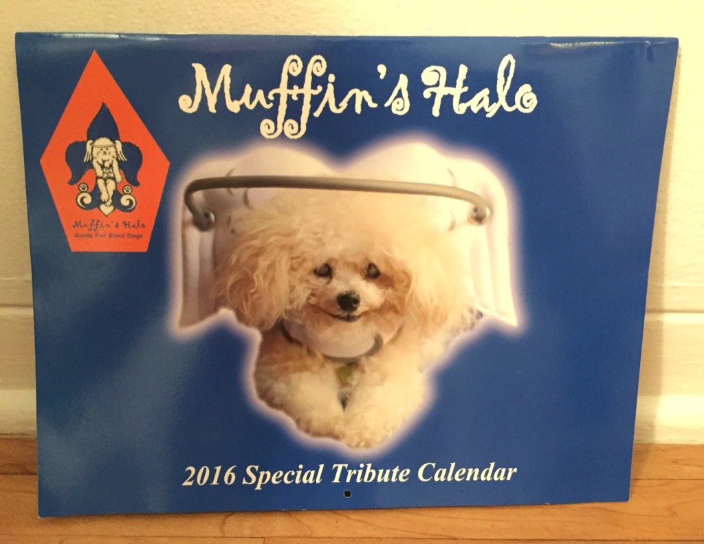 Help for blind dogs.Muffin's Halo and Noah's story.
