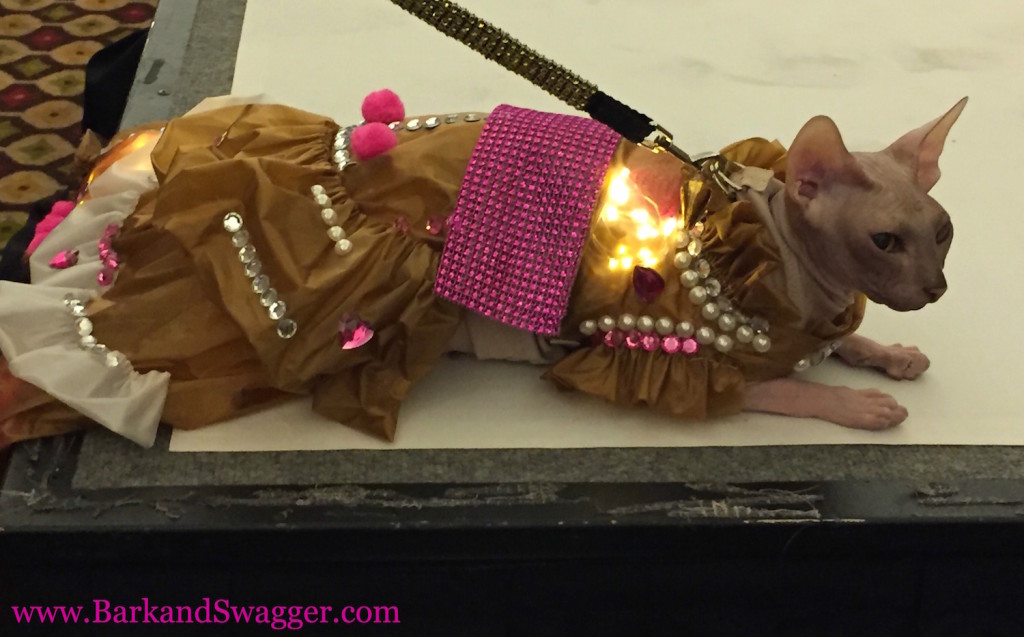 80s fashion styles hit the runway at the NNew York Pet Fashion Show