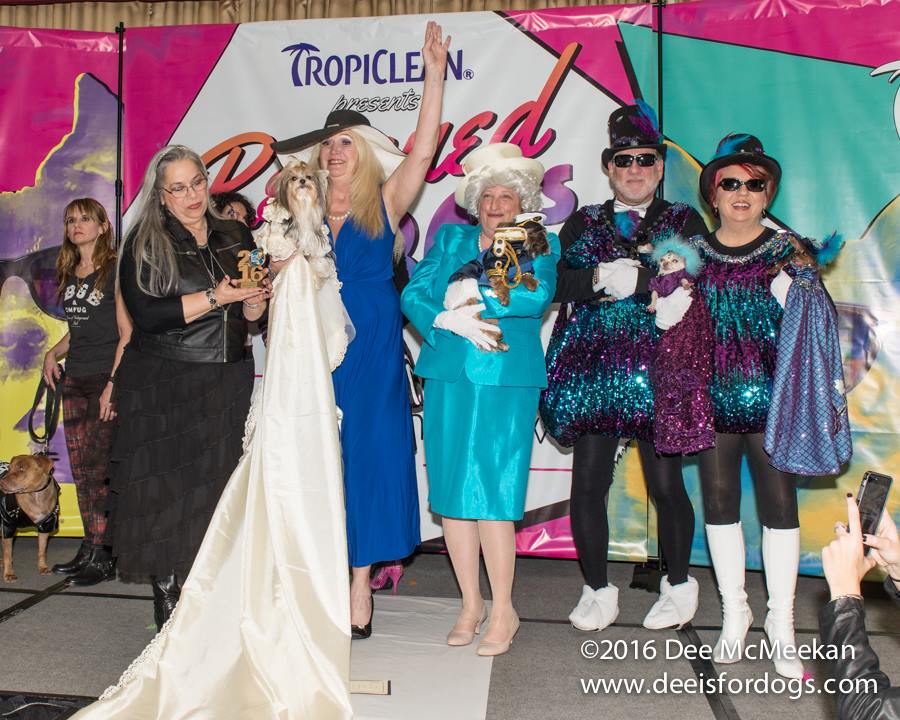 80s fashion styles hit the runway at the New York Pet Fashion Show