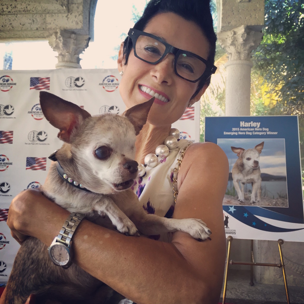 Hero dog stories from the American Humane Assoc Gala Luncheon