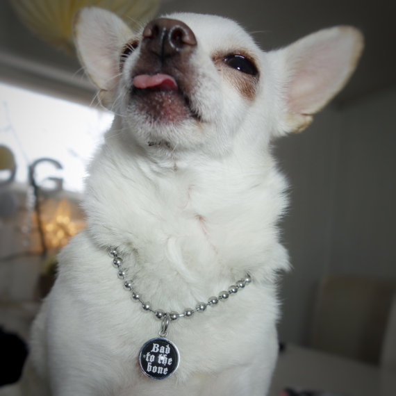 Adorable jewelry for dogs and dog lovers