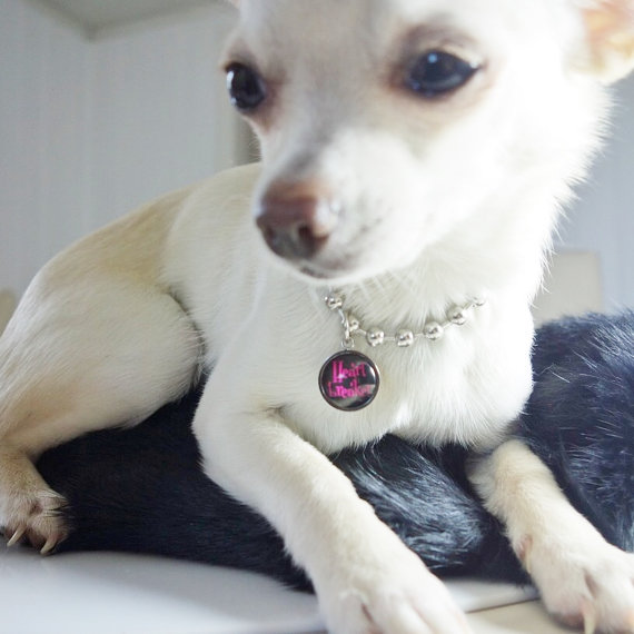 Adorable jewelry for dogs and dog lovers