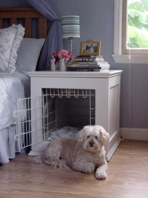 Want to know how to design a space for your dog? Here's one of my picks for a great bed idea.