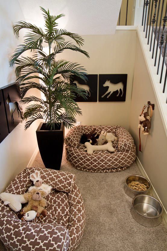 Want to know how to design a space for your dog? Here's one created under the stairs that's great. 