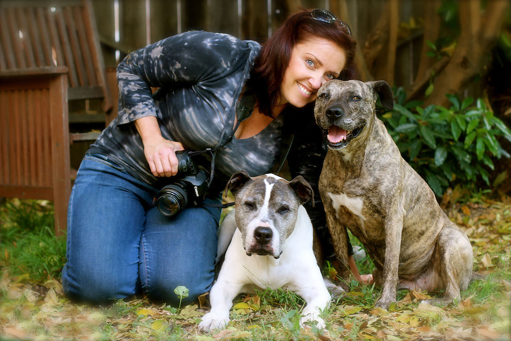 great senior dog rescue stories from the My Old Dog book