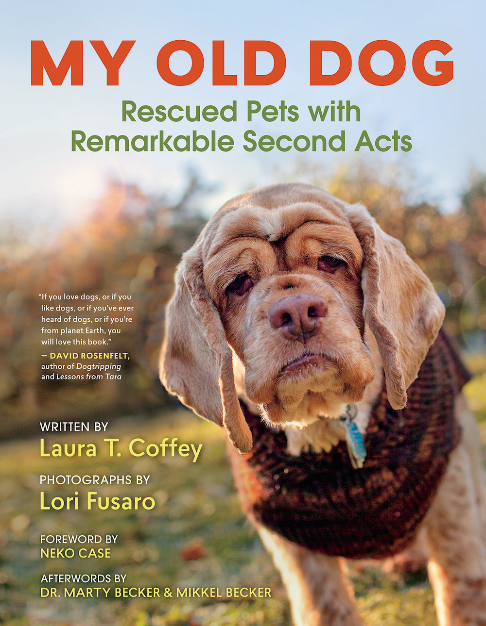 great senior dog rescue stories from the My Old Dog book 