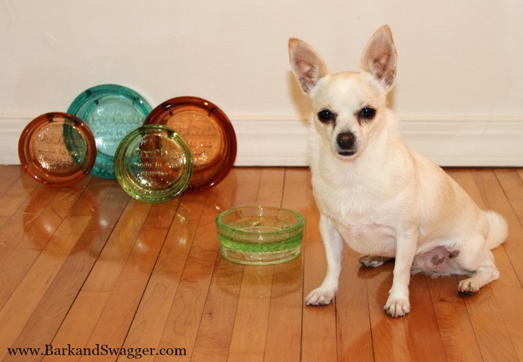 Want to know how to design a space for your dog? Here's my pick for best dog bowls from PawNosh. Love.