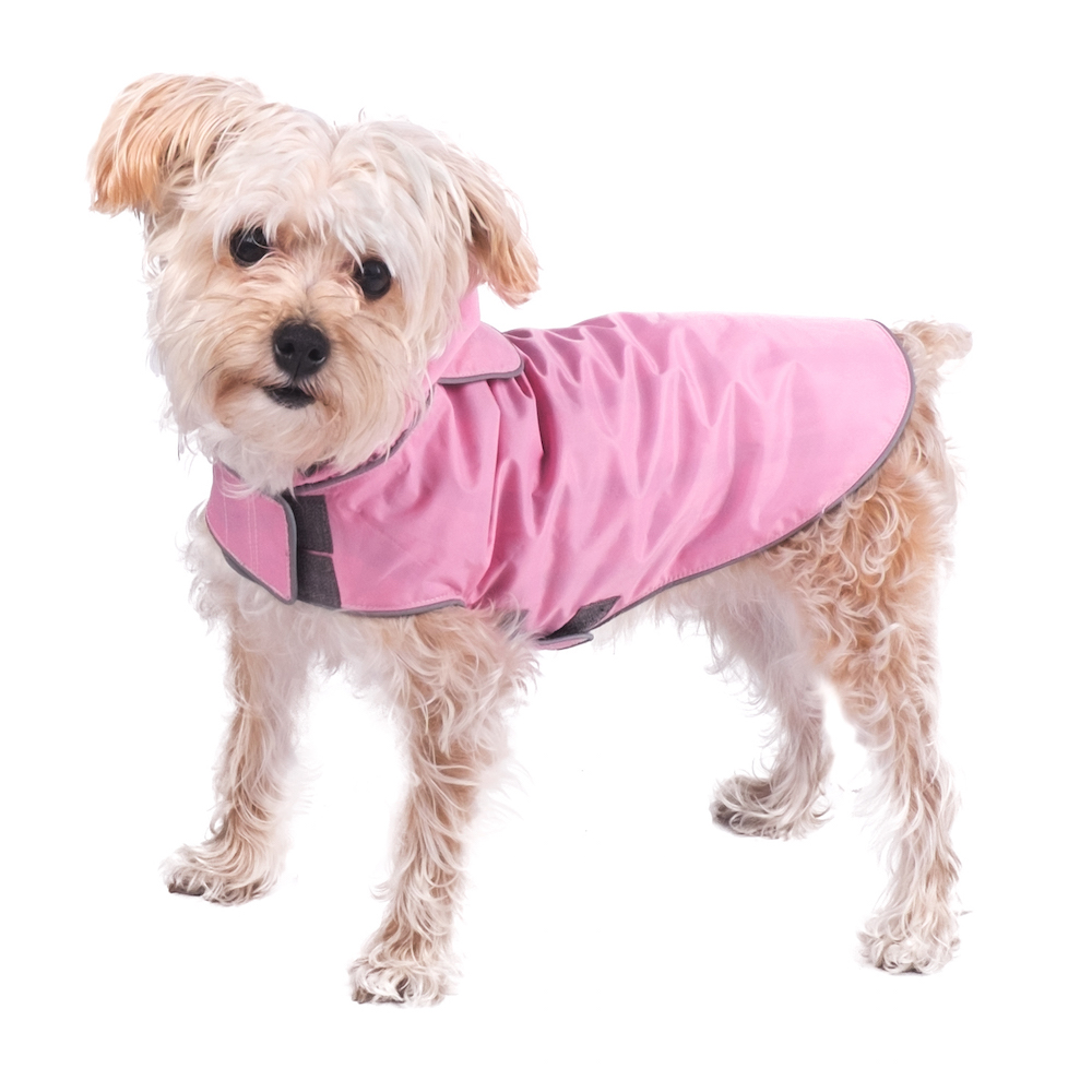 Want summer fashion ideas for your dog? Be Memorial Day ready with The Worthy Dog rain jacket