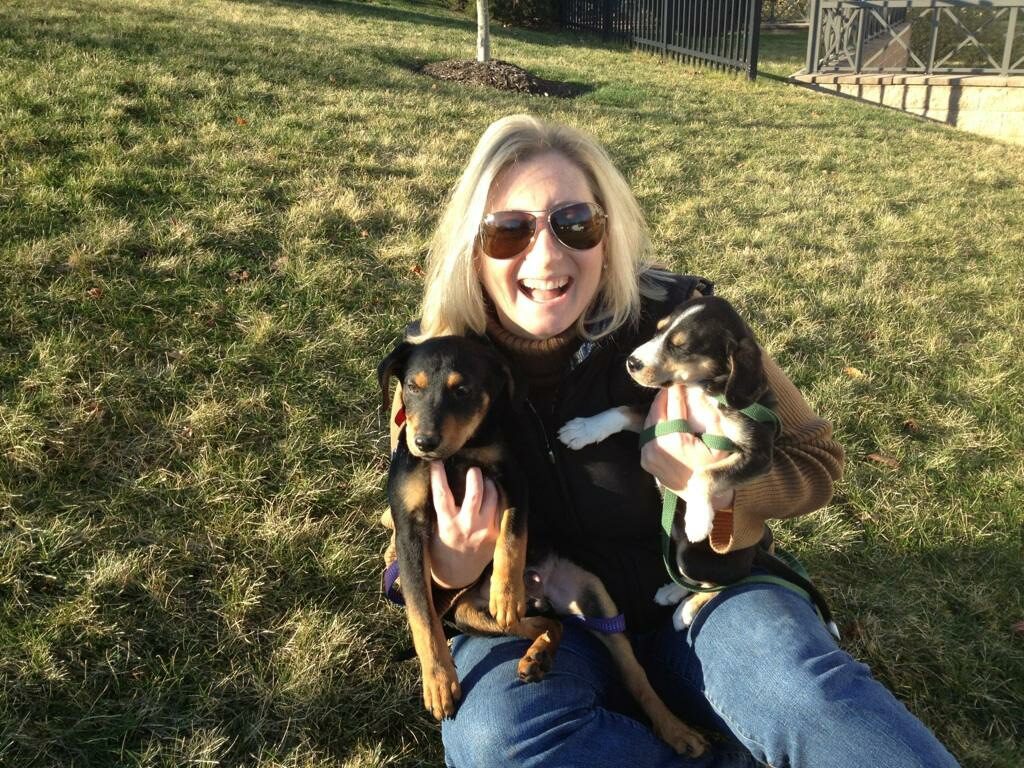 How different are breeders from dog rescue groups? Less than you think. The Dog Merchants author Kim Kavin with dogs Cooper & Petey