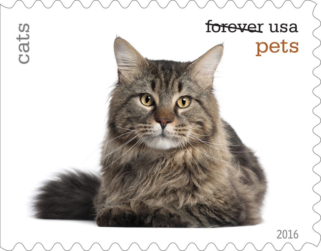The U.S. Postal Service to Unveil new pet stamp collection. Cat stamp. 