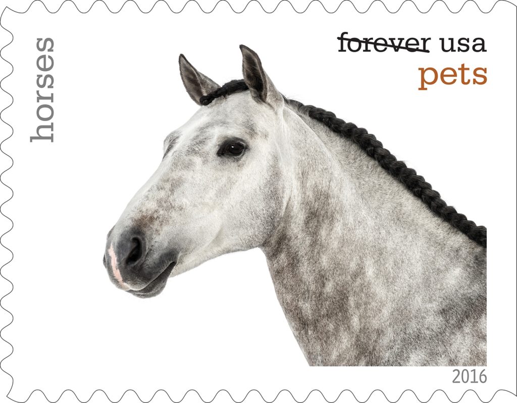 The U.S. Postal Service to Unveil new pet stamp collection. Horse stamp. 