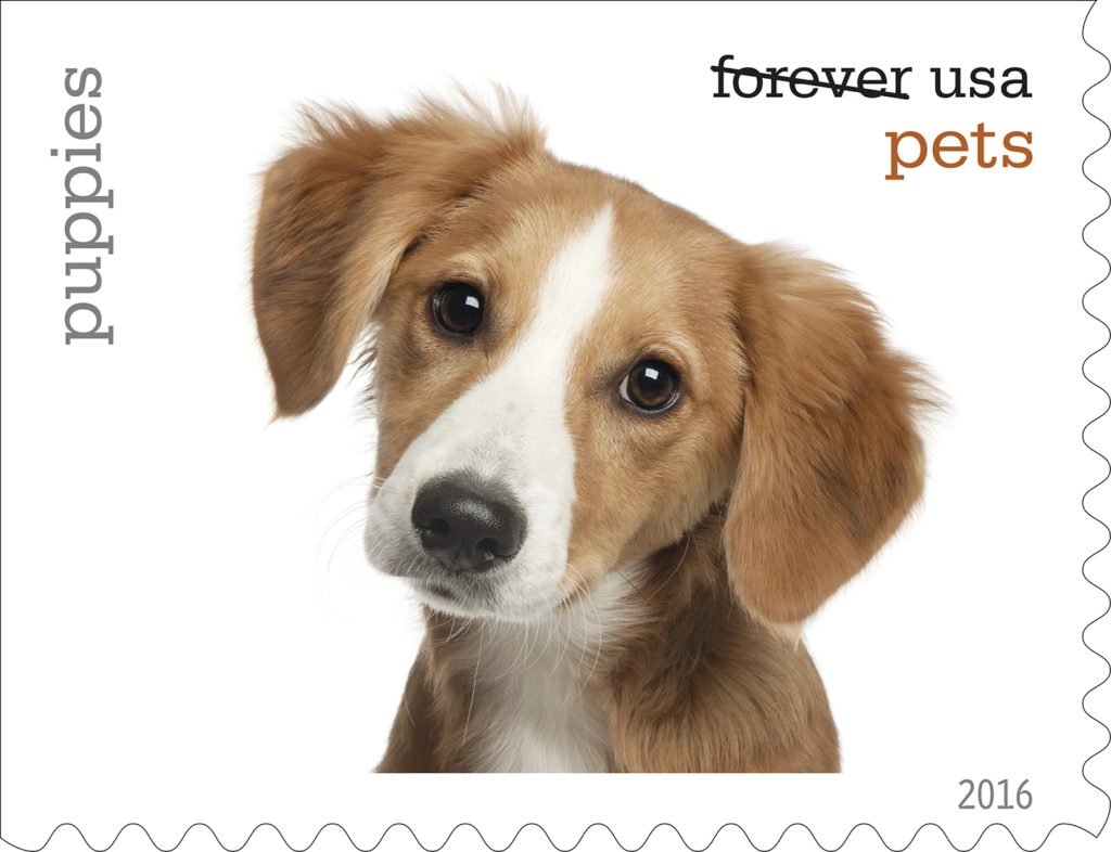 The U.S. Postal Service to Unveil new pet stamp collection. Puppy stamp. 