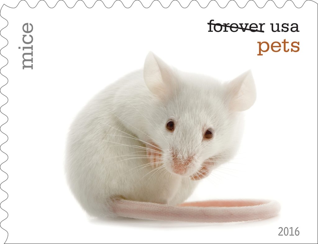 The U.S. Postal Service to Unveil new pet stamp collection. mouse stamp. 