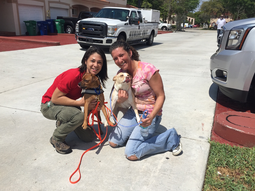 Ace pet detective, Jamie Katz, with dog, Ari, and her owner, just after she was found.