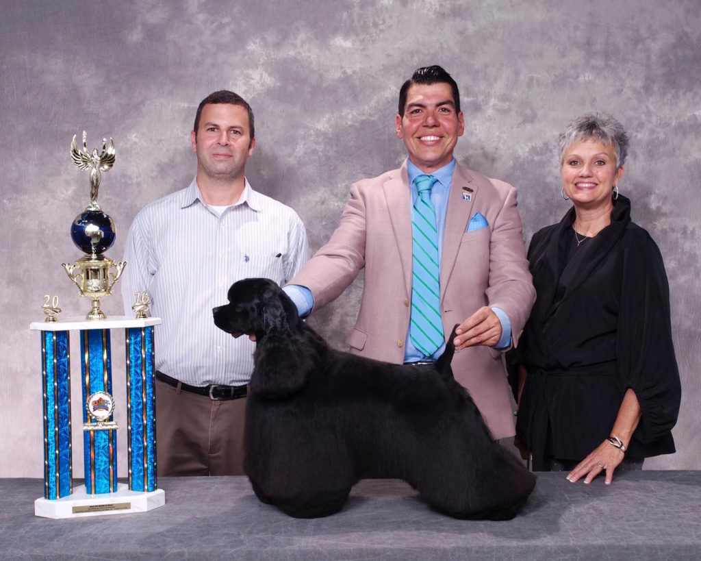 Big dog grooming competition at SuperZoo. Here's the Best in Show winning groomer and dog