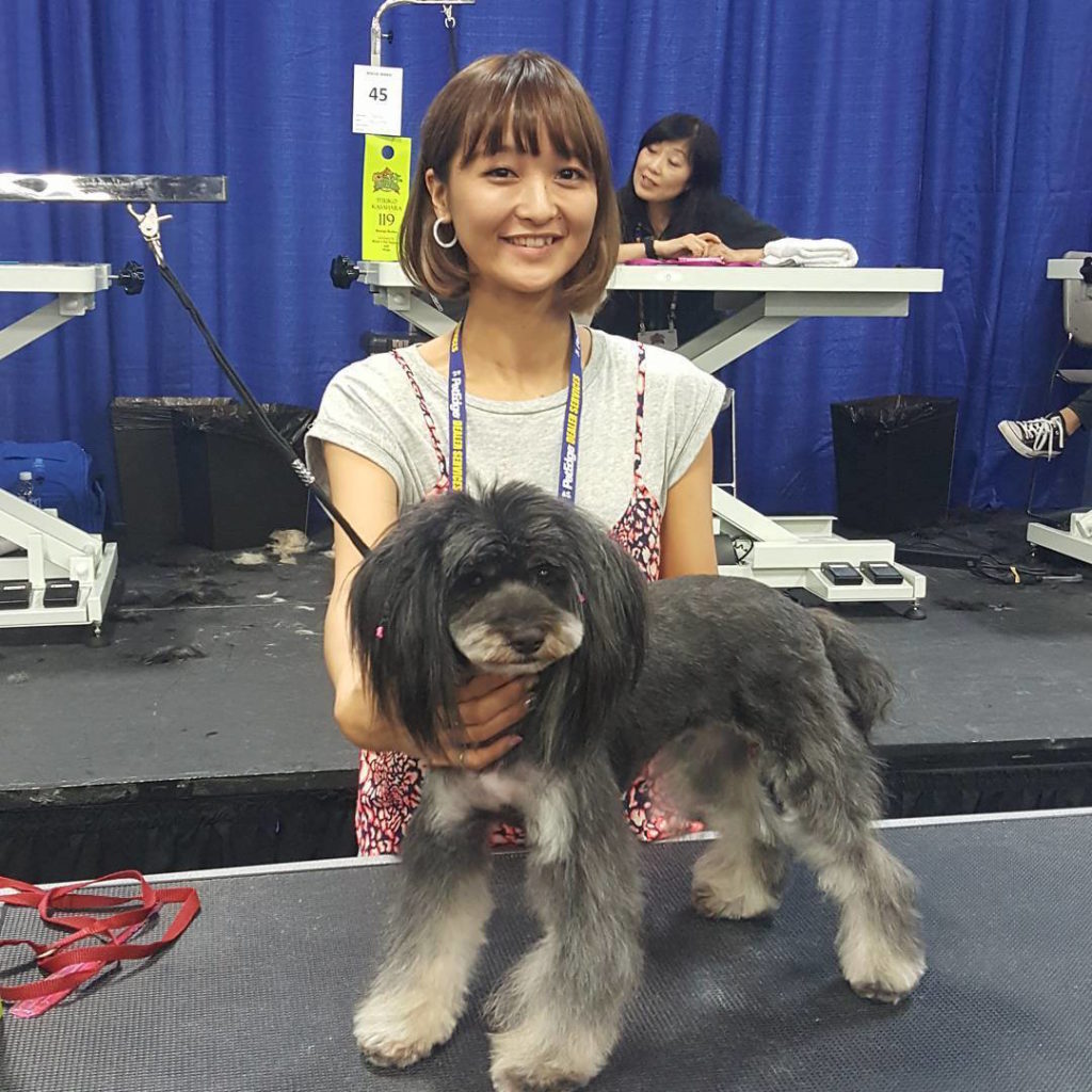 A big grooming competition for shelter dogs at SuperZoo 2016. Here's the winner groomer and dog team!