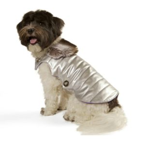 designer dog fashion and human fashion in new bouique