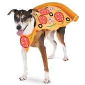My best Halloween pet costumes 2016. A pizza slice.