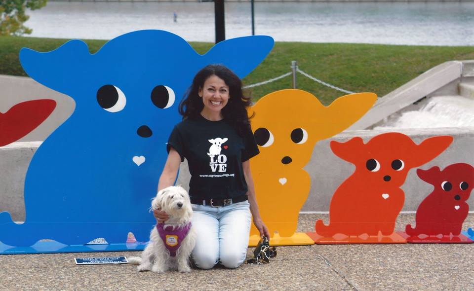 colorful dog art created to honor shelter and rescue animals