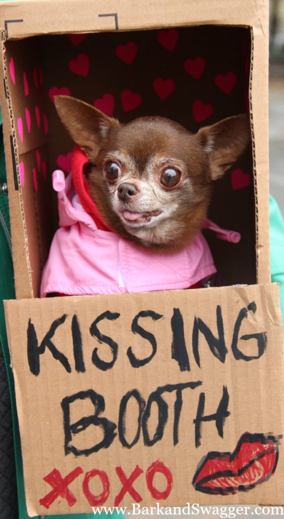 the tompkins square park dog parade is Halloween at its most creative. Chloe Kardoggian in her Kissing Booth.
