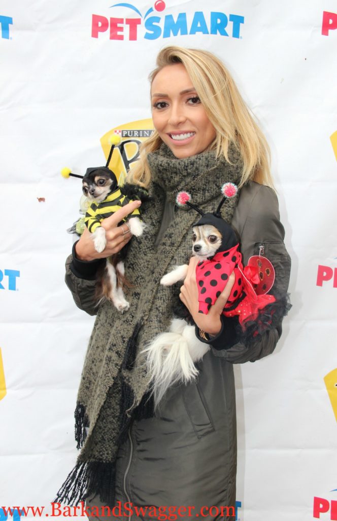 the tompkins square park dog parade is Halloween at its most creative. Co-host Guiliana Rancic with Chihuahuas Tansy and Cora.