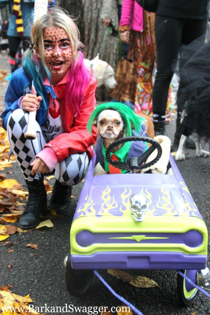 the tompkins square park dog parade is Halloween at its most creative. Harley Quinn and The Joker.