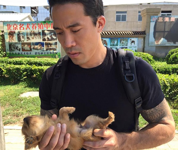 Saving dogs from the meat trade, Marc Ching's story