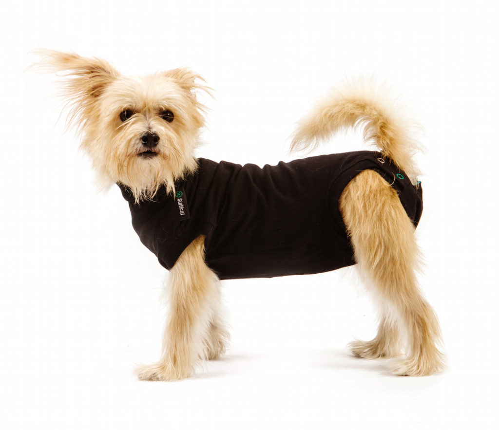 how to stop your dog from biting itself. A shelter dog uses the Suitical Recovery Suit. Lots of uses for this suit.