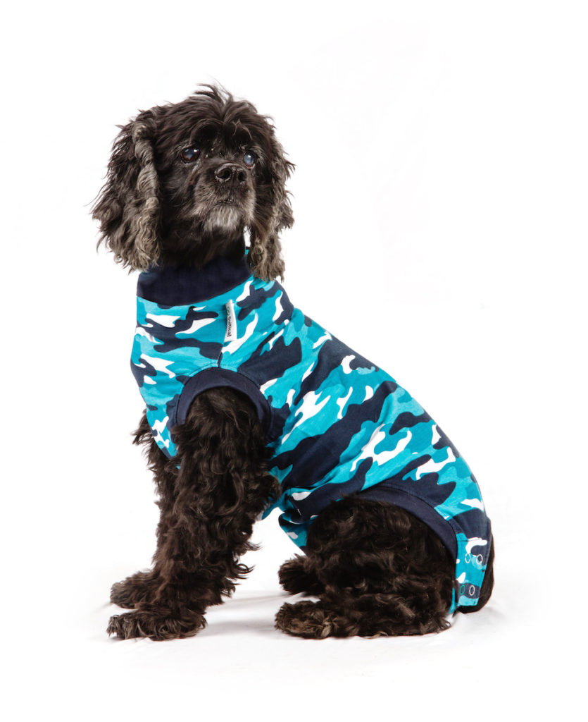 How to stop your dog from biting itself and more. The Suitical Recovery Suit is a dream!