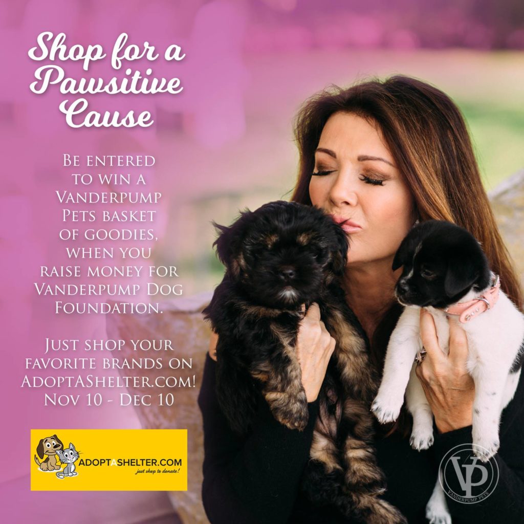 Shop for a cause to help shelter animals. Lisa Vanderpump banner. 