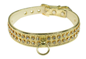 The velvet dog collar is very fashionable right now. Here are some beauties and where to buy. Gold faux leather.