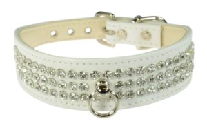 The velvet dog collar is very fashionable right now. Here are some beauties and where to buy. White faux leather.