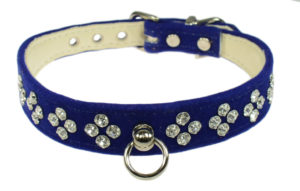 The velvet dog collar is very fashionable right now. Here are some beauties and where to buy. Navy.
