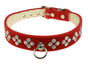 The velvet dog collar is very fashionable right now. Here are some beauties and where to buy. Red.