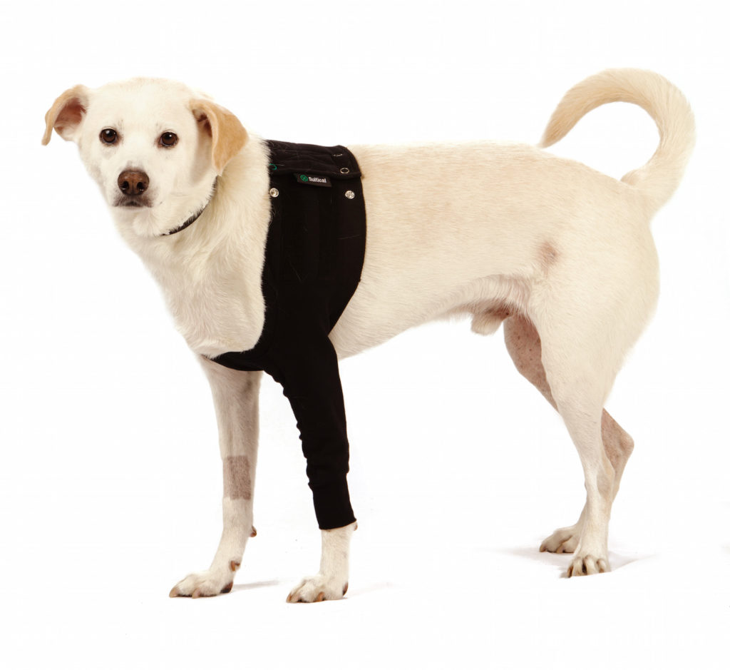 how to stop your dog from biting itself-the Suitical Recovery Sleeve