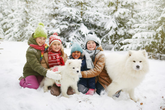 dog friendly ski resorts. Group of children playing with two dogs.