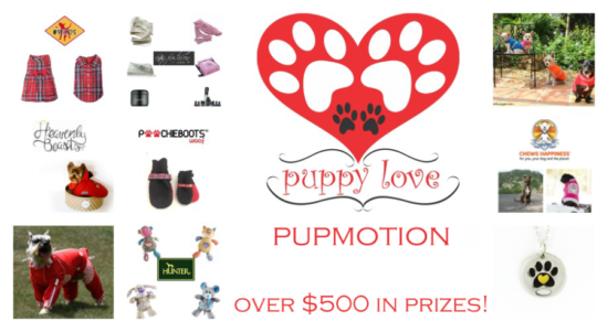 Valentines Day giveaways for pets and pet lovers. 